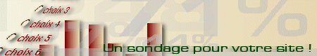 Un sondage pour votre site ! 